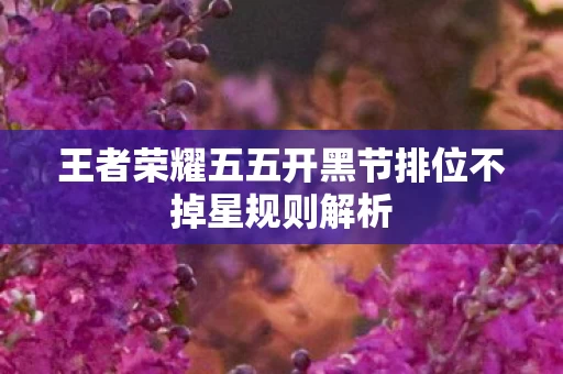 王者荣耀五五开黑节排位不掉星规则解析图片