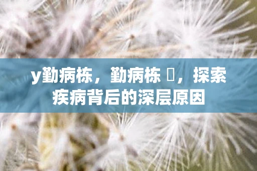 y勤病栋,勤病栋 弐,探索疾病背后的深层原因 y勤病栋,勤病栋 弐,探索疾病背后的深层原因