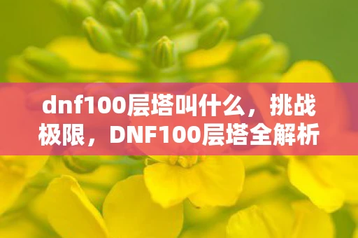dnf100层塔叫什么，挑战极限，DNF100层塔全解析