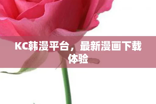 最新漫画下载体验图片
