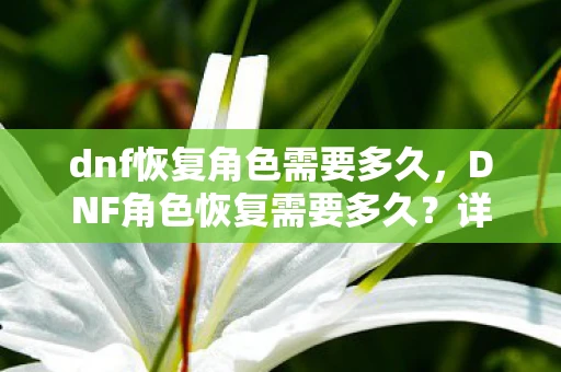 dnf恢复角色需要多久，DNF角色恢复需要多久？详解恢复流程与时间