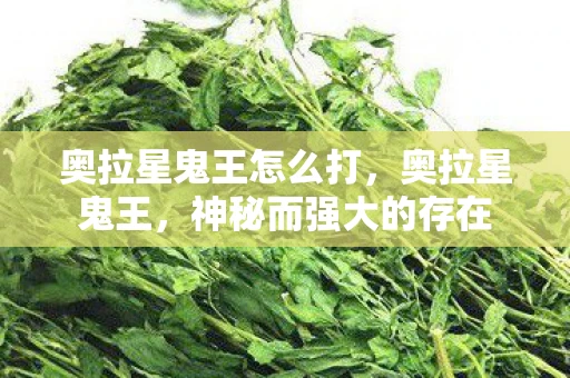 奥拉星鬼王怎么打，奥拉星鬼王，神秘而强大的存在