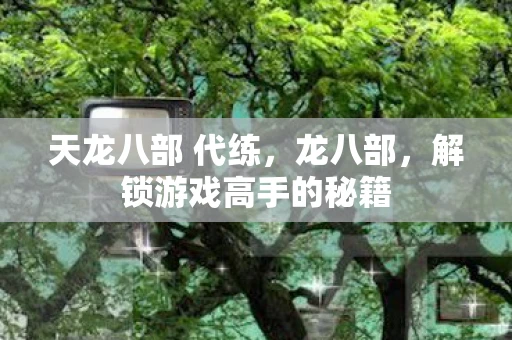 天龙八部 代练,龙八部,解锁游戏高手的秘籍 天龙八部 代练,龙八部,解锁游戏高手的秘籍
