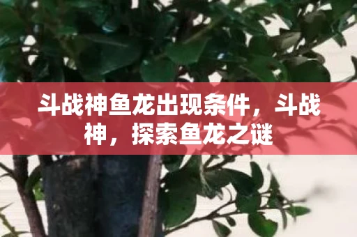 斗战神鱼龙出现条件，斗战神，探索鱼龙之谜