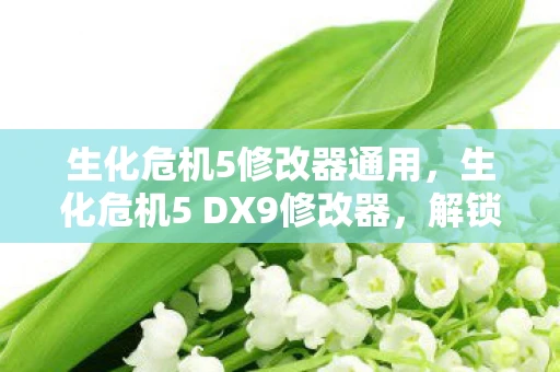 生化危机5修改器通用，生化危机5 DX9修改器，解锁无限可能，打造个性化游戏体验