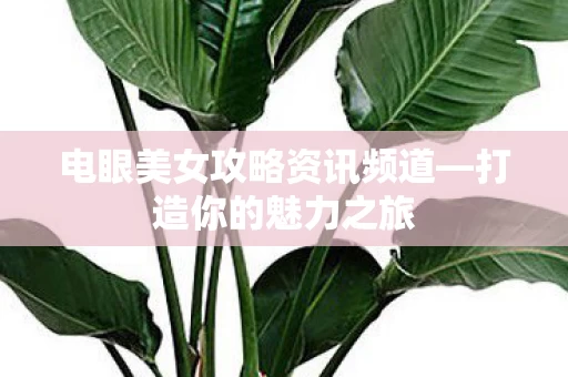 电眼美女攻略资讯频道图片