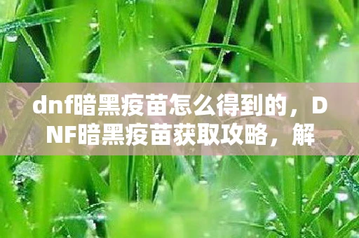 dnf暗黑疫苗怎么得到的，DNF暗黑疫苗获取攻略，解锁神秘力量的钥匙