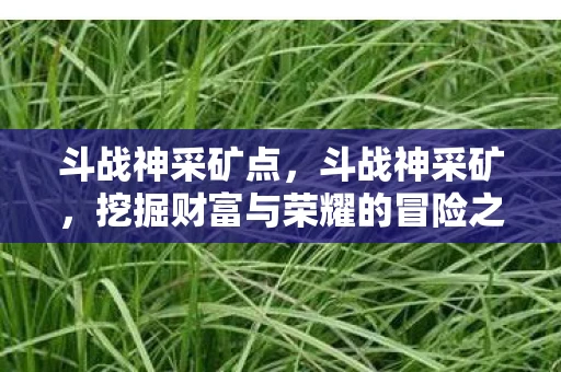 斗战神采矿点,斗战神采矿,挖掘财富与荣耀的冒险之旅 斗战神采矿点,斗战神采矿,挖掘财富与荣耀的冒险之旅