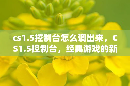 cs1.5控制台怎么调出来,CS1.5控制台,经典游戏的新玩法 cs1.5控制台怎么调出来,CS1.5控制台,经典游戏的新玩法