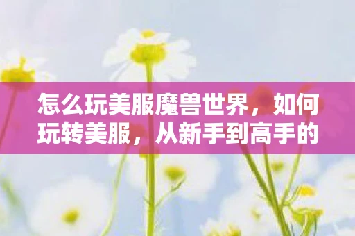 怎么玩美服魔兽世界，如何玩转美服，从新手到高手的全方位指南