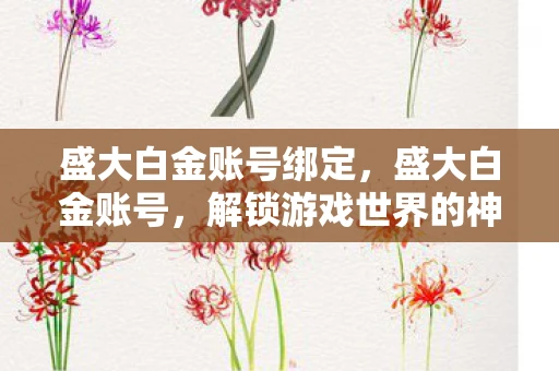 盛大白金账号绑定,盛大白金账号,解锁游戏世界的神秘钥匙 盛大白金账号绑定,盛大白金账号,解锁游戏世界的神秘钥匙