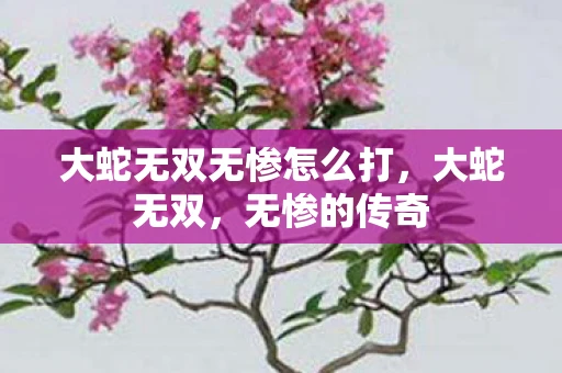 大蛇无双无惨怎么打，大蛇无双，无惨的传奇