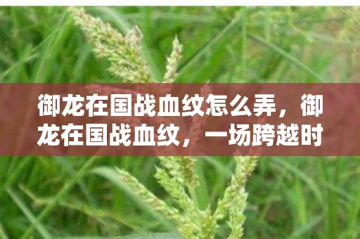 御龙在国战血纹怎么弄，御龙在国战血纹，一场跨越时空的传奇之战
