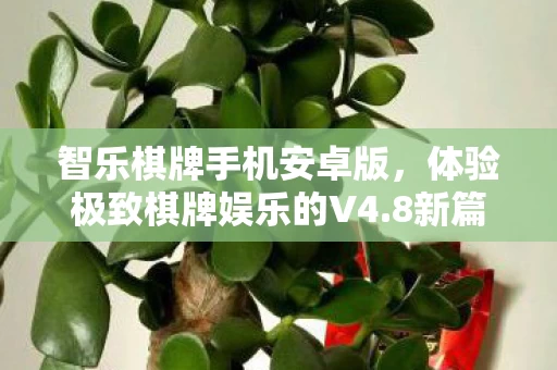 体验极致棋牌娱乐的V4图片