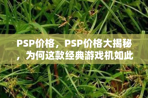 PSP价格，PSP价格大揭秘，为何这款经典游戏机如此昂贵？