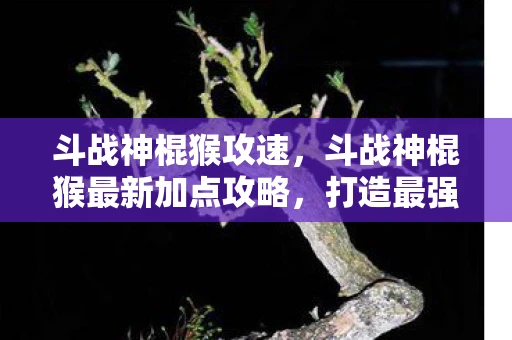 斗战神棍猴攻速，斗战神棍猴最新加点攻略，打造最强战斗猴王