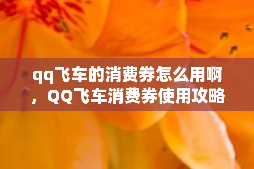 qq飞车的消费券怎么用啊，QQ飞车消费券使用攻略，玩转飞车，尽享优惠