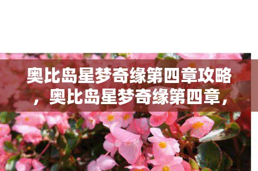 奥比岛星梦奇缘第四章攻略，奥比岛星梦奇缘第四章，星际迷航的冒险