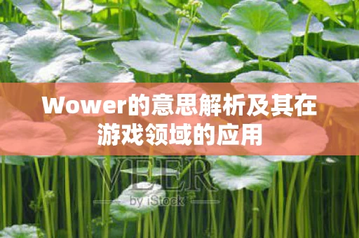 Wower的意思解析及其在游戏领域的应用图片