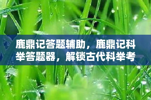 鹿鼎记答题辅助,鹿鼎记科举答题器,解锁古代科举考试的新玩法 鹿鼎记答题辅助,鹿鼎记科举答题器,解锁古代科举考试的新玩法