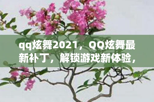 qq炫舞2021，QQ炫舞最新补丁，解锁游戏新体验，修复问题提升性能