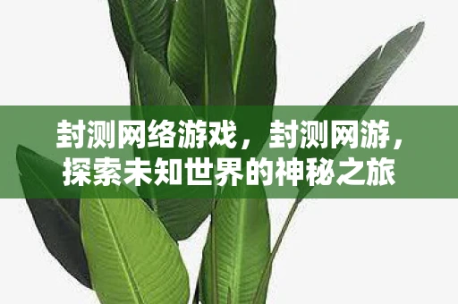 封测网络游戏，封测网游，探索未知世界的神秘之旅