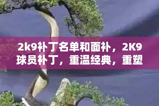 2k9补丁名单和面补,2K9球员补丁,重温经典,重塑传奇 2k9补丁名单和面补,2K9球员补丁,重温经典,重塑传奇