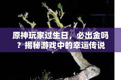 揭秘游戏中的幸运传说图片