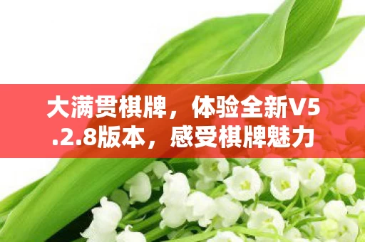体验全新V5图片