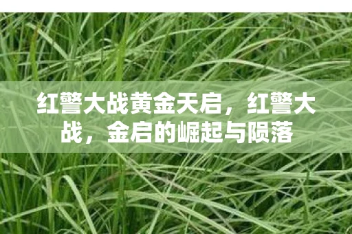 红警大战黄金天启，红警大战，金启的崛起与陨落