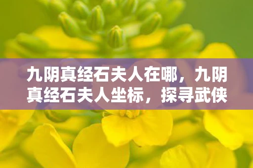 九阴真经石夫人在哪,九阴真经石夫人坐标,探寻武侠世界的神秘之地 九阴真经石夫人在哪,九阴真经石夫人坐标,探寻武侠世界的神秘之地