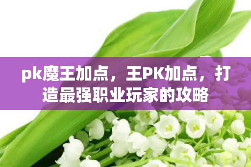 pk魔王加点,王PK加点,打造最强职业玩家的攻略 pk魔王加点,王PK加点,打造最强职业玩家的攻略