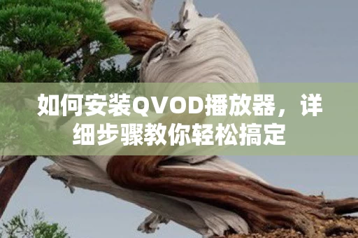 如何安装QVOD播放器图片