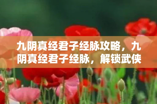 九阴真经君子经脉攻略，九阴真经君子经脉，解锁武侠世界的内功秘籍