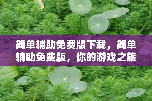 简单辅助免费版下载，简单辅助免费版，你的游戏之旅好帮手