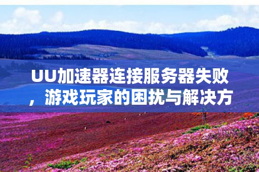 UU加速器连接服务器失败图片