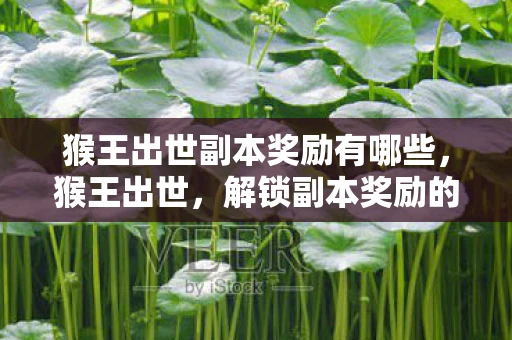 猴王出世副本奖励有哪些，猴王出世，解锁副本奖励的奇幻之旅