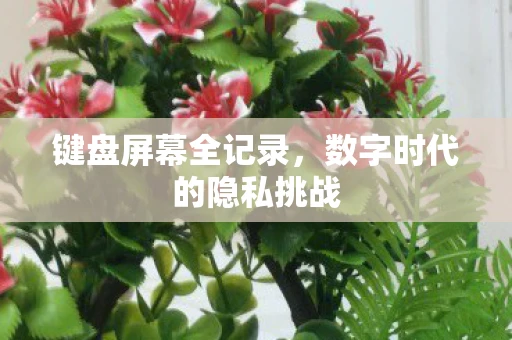 键盘屏幕全记录，数字时代的隐私挑战