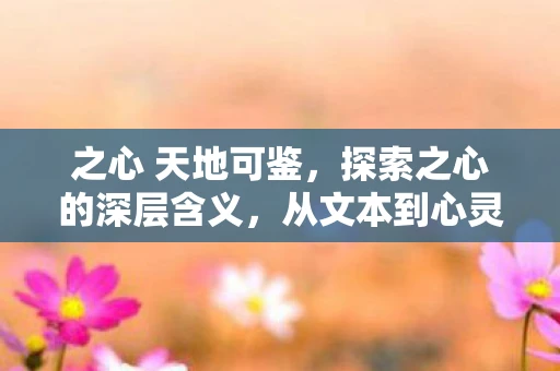 之心 天地可鉴,探索之心的深层含义,从文本到心灵的旅程 之心 天地可鉴,探索之心的深层含义,从文本到心灵的旅程