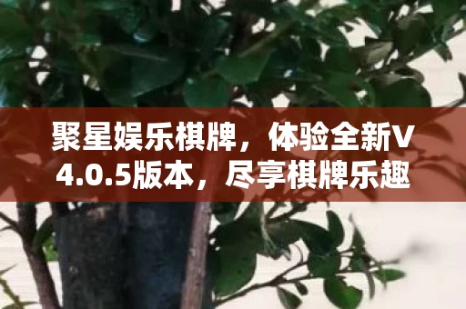 聚星娱乐棋牌图片