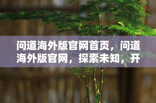 问道海外版官网首页，问道海外版官网，探索未知，开启全新冒险
