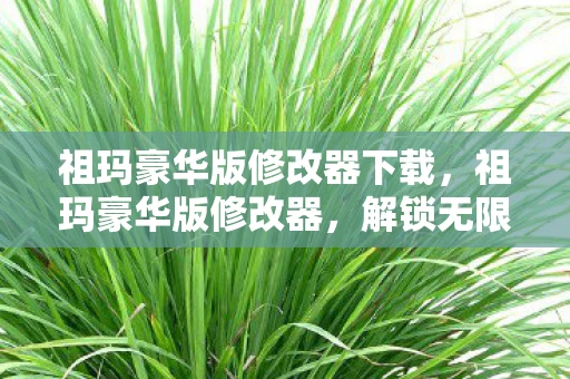 祖玛豪华版修改器下载，祖玛豪华版修改器，解锁无限可能的经典游戏修改工具