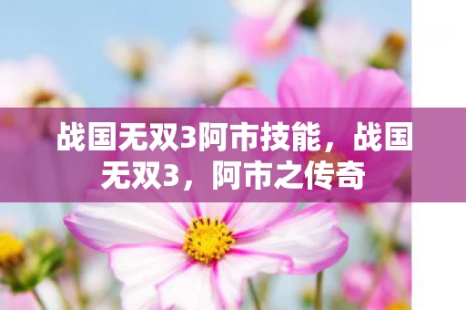 战国无双3阿市技能，战国无双3，阿市之传奇