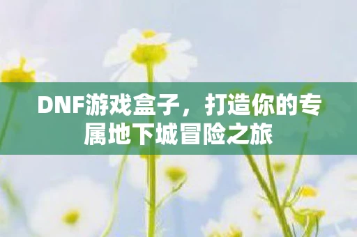 DNF游戏盒子,打造你的专属地下城冒险之旅 DNF游戏盒子,打造你的专属地下城冒险之旅
