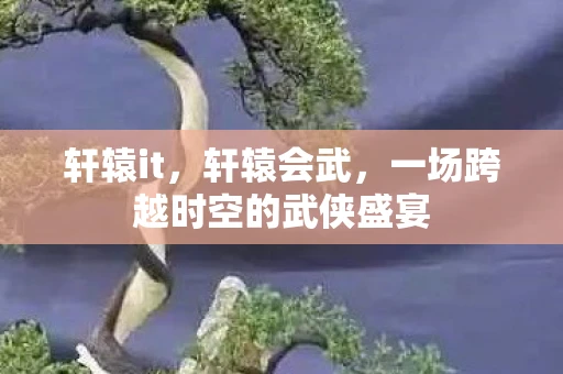 轩辕it，轩辕会武，一场跨越时空的武侠盛宴