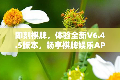 畅享棋牌娱乐APP的魅力图片