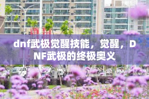 dnf武极觉醒技能，觉醒，DNF武极的终极奥义