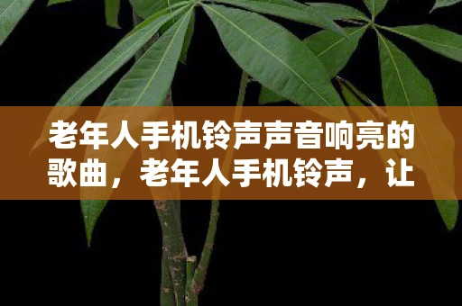 老年人手机铃声声音响亮的歌曲,老年人手机铃声,让沟通更顺畅,让关爱更贴心 老年人手机铃声声音响亮的歌曲,老年人手机铃声,让沟通更顺畅,让关爱更贴心