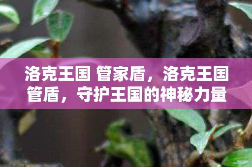 洛克王国 管家盾，洛克王国管盾，守护王国的神秘力量