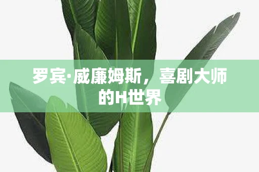 罗宾·威廉姆斯，喜剧大师的H世界